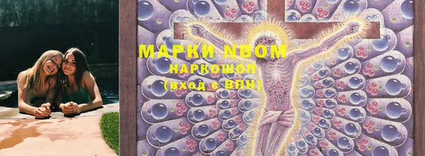 МДПВ Новокубанск