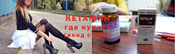 шишки Новодвинск