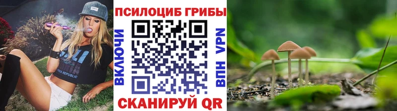 Галлюциногенные грибы Psilocybine cubensis  hydra зеркало  Снежногорск 