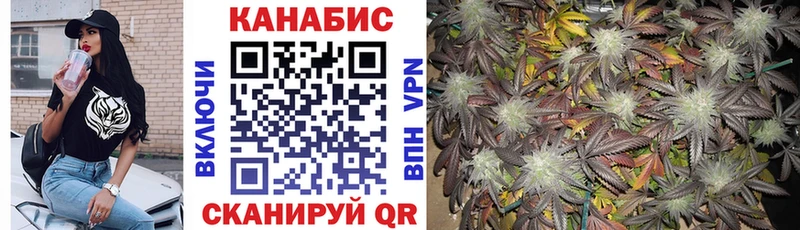Бошки марихуана White Widow  Снежногорск 